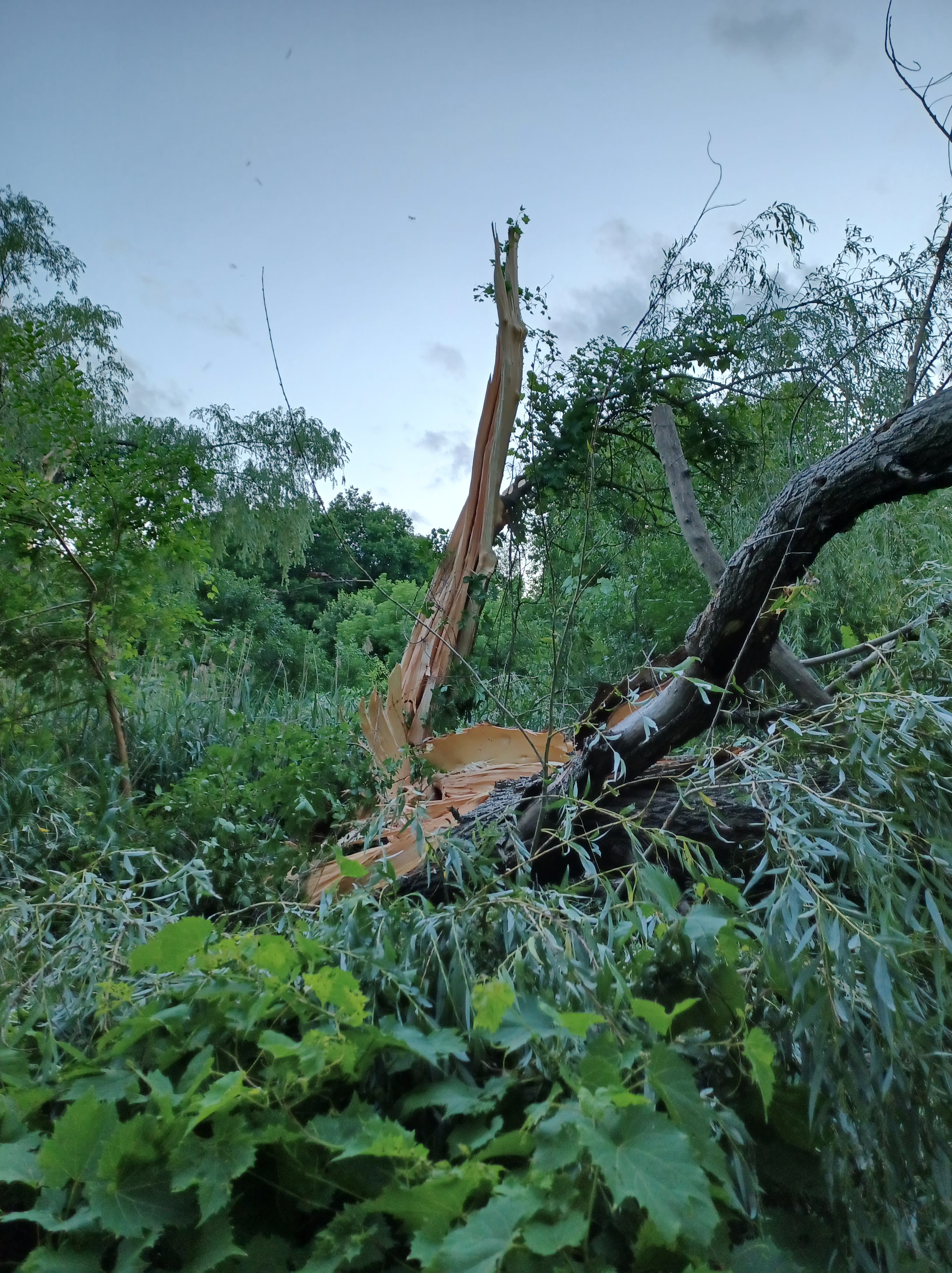 July 20, 2022 Severe Weather Summary